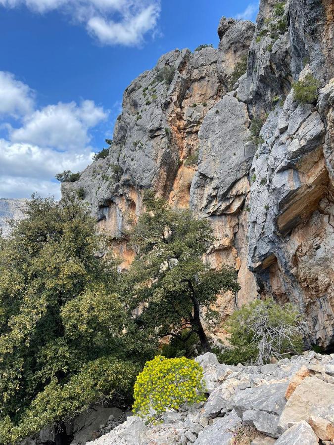 Casa Vacanze Sa Piazza Leilighet Dorgali Eksteriør bilde